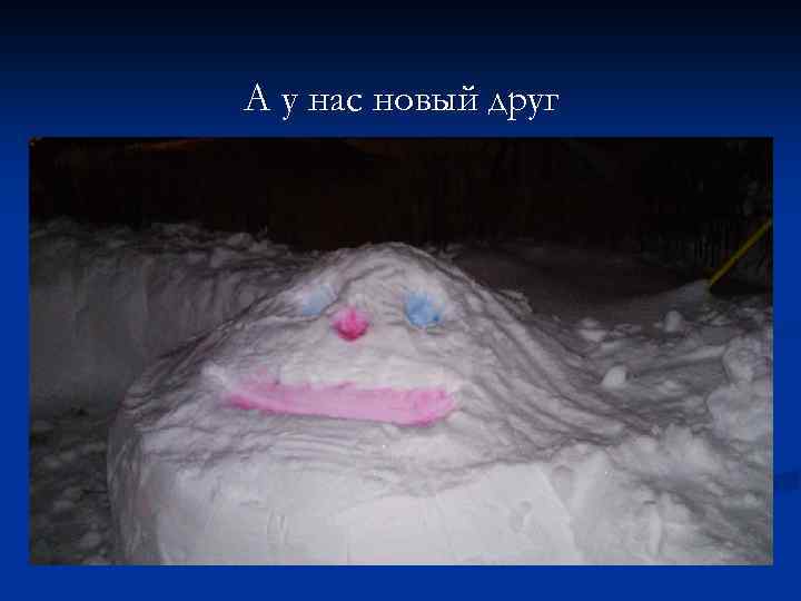 А у нас новый друг 