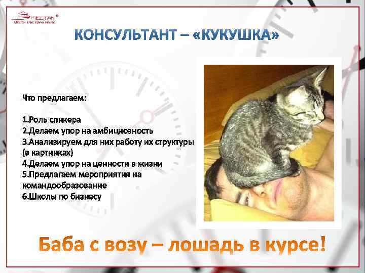 Что предлагаем: 1. Роль спикера 2. Делаем упор на амбициозность 3. Анализируем для них