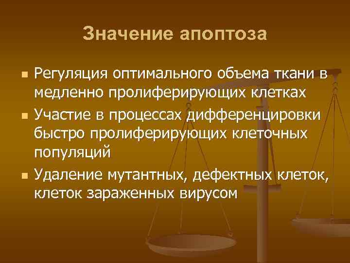 Значение апоптоза n n n Регуляция оптимального объема ткани в медленно пролиферирующих клетках Участие