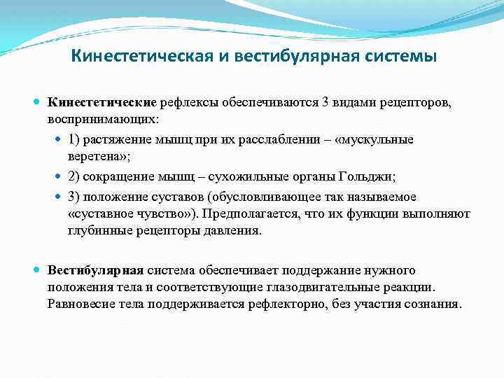 Кинестетическая и вестибулярная системы Кинестетические рефлексы обеспечиваются 3 видами рецепторов, воспринимающих: 1) растяжение мышц