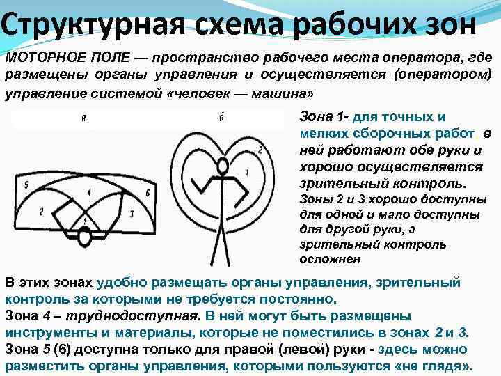 Структурная схема рабочих зон МОТОРНОЕ ПОЛЕ — пространство рабочего места оператора, где размещены органы