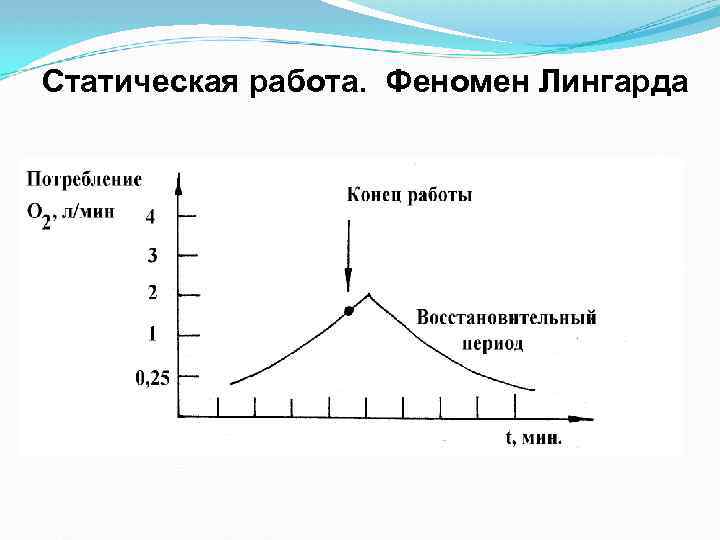 Статическая работа. Феномен Лингарда 