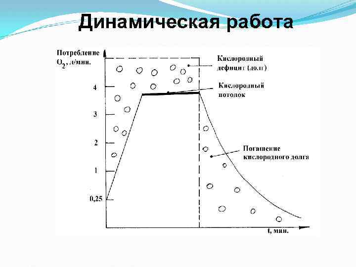 Динамическая работа 