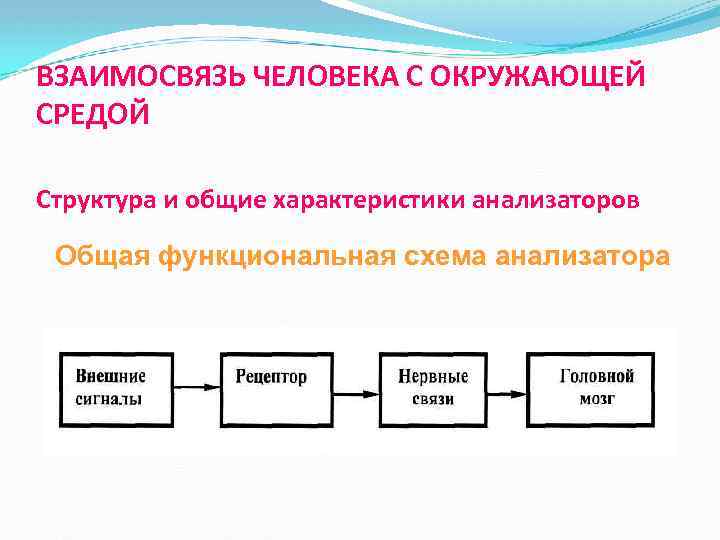 Взаимоотношения организма и среды