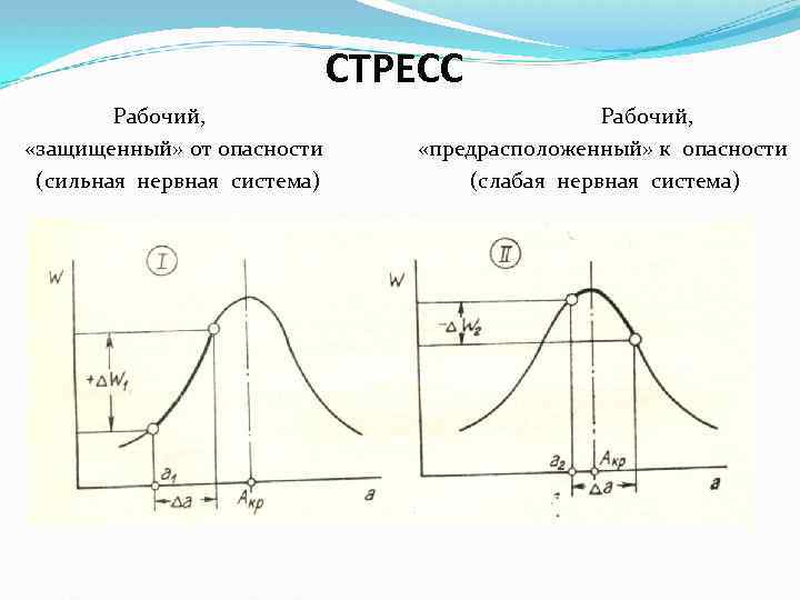 СТРЕСС Рабочий, «защищенный» от опасности «предрасположенный» к опасности (сильная нервная система) (слабая нервная система)