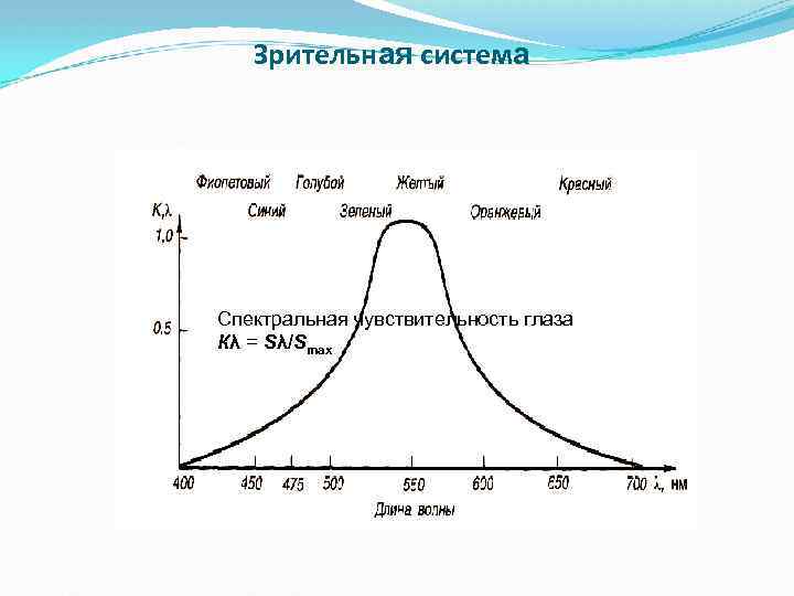 Зрительная система Спектральная чувствительность глаза Кλ = Sλ/Smax 