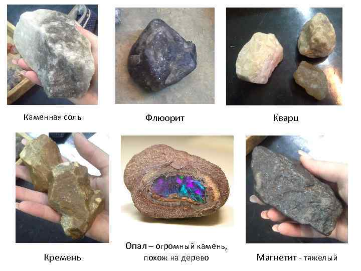 Каменная соль Кремень Флюорит Опал – огромный камень, похож на дерево Кварц Магнетит -