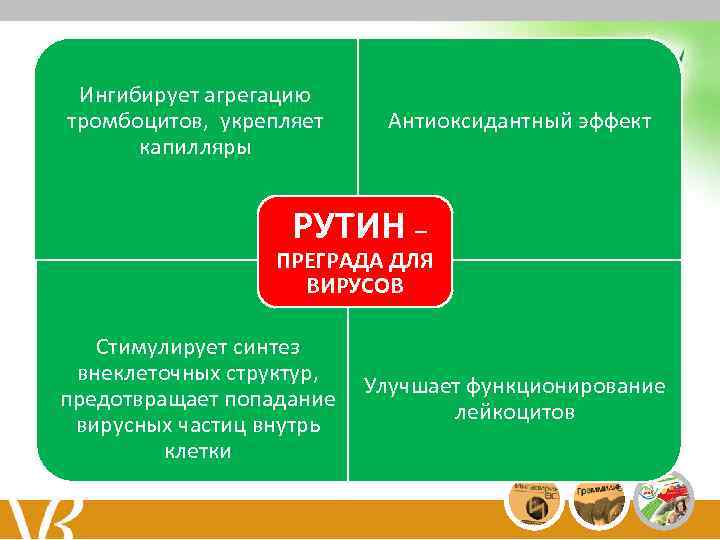 Ингибирует агрегацию тромбоцитов, укрепляет капилляры Антиоксидантный эффект РУТИН – ПРЕГРАДА ДЛЯ ВИРУСОВ Стимулирует синтез