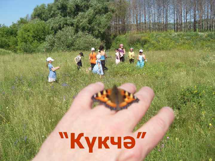 “Күкчә” 