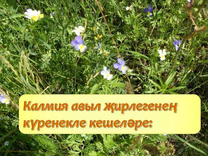 Калмия авыл җирлегенең күренекле кешеләре: 