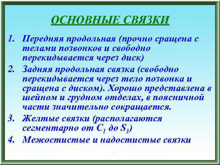 ОСНОВНЫЕ СВЯЗКИ 1. Передняя продольная (прочно сращена с телами позвонков и свободно перекидывается через