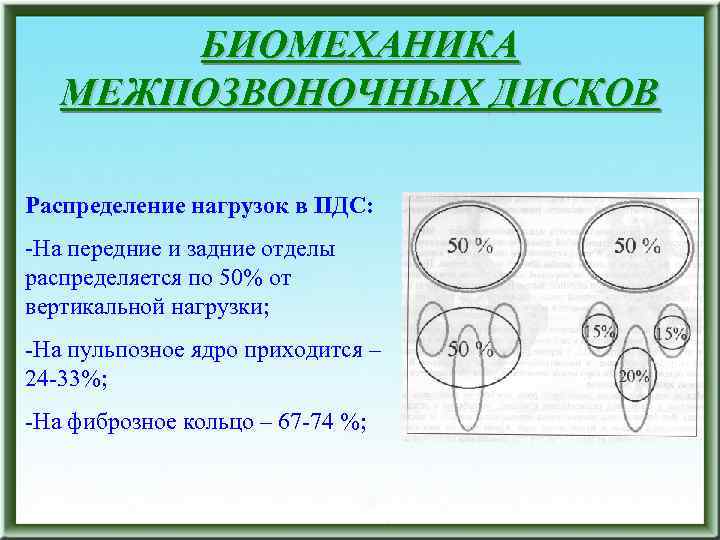 БИОМЕХАНИКА МЕЖПОЗВОНОЧНЫХ ДИСКОВ Распределение нагрузок в ПДС: -На передние и задние отделы распределяется по