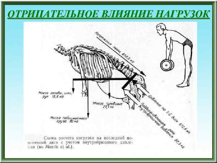ОТРИЦАТЕЛЬНОЕ ВЛИЯНИЕ НАГРУЗОК 