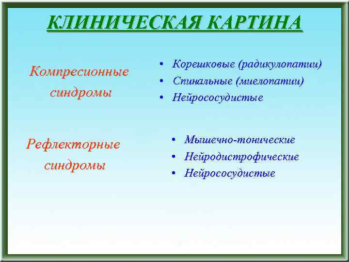 КЛИНИЧЕСКАЯ КАРТИНА Компресионные синдромы Рефлекторные синдромы • • • Корешковые (радикулопатии) Спинальные (миелопатии) Нейрососудистые