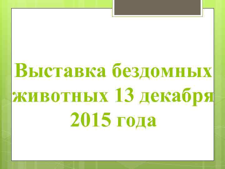 Выставка бездомных животных 13 декабря 2015 года 