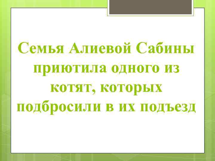 Семья Алиевой Сабины приютила одного из котят, которых подбросили в их подъезд 