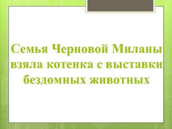 Семья Черновой Миланы взяла котенка с выставки бездомных животных 