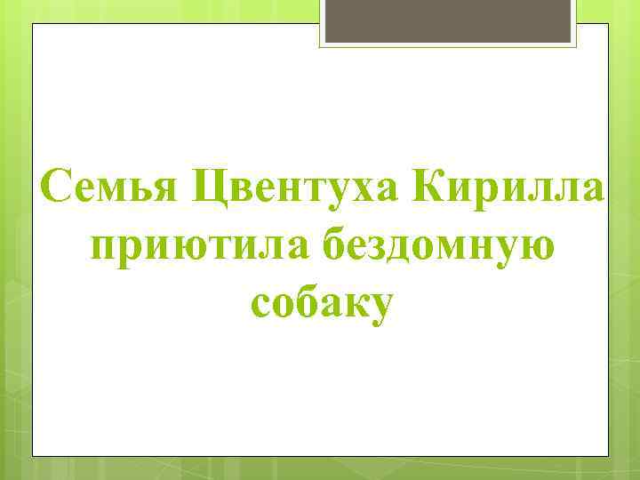 Семья Цвентуха Кирилла приютила бездомную собаку 