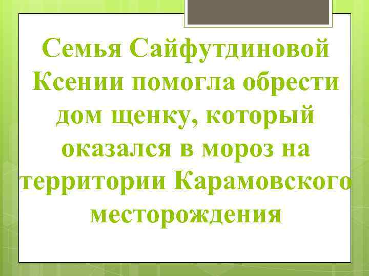 Семья Сайфутдиновой Ксении помогла обрести дом щенку, который оказался в мороз на территории Карамовского