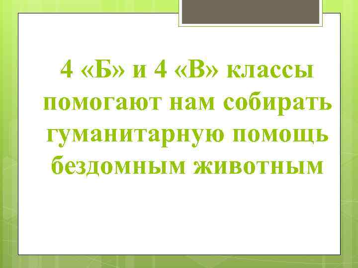 4 «Б» и 4 «В» классы помогают нам собирать гуманитарную помощь бездомным животным 