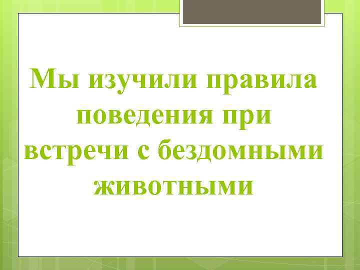 Мы изучили правила поведения при встречи с бездомными животными 