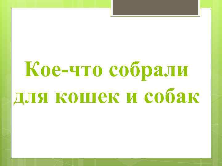 Кое-что собрали для кошек и собак 