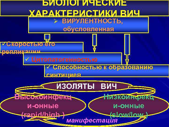 БИОЛОГИЧЕСКИЕ ХАРАКТЕРИСТИКИ ВИЧ Ø ВИРУЛЕНТНОСТЬ, обусловленная üСкоростью его репликации ü Цитопатогенностью ü Способностью к