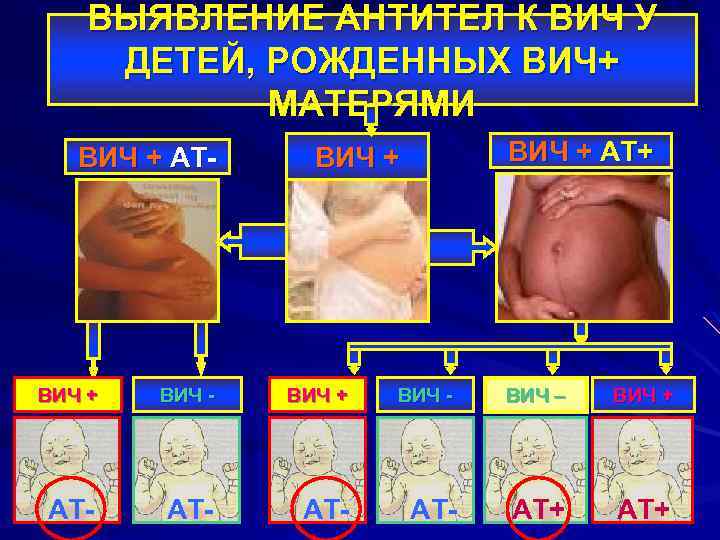 ВЫЯВЛЕНИЕ АНТИТЕЛ К ВИЧ У ДЕТЕЙ, РОЖДЕННЫХ ВИЧ+ МАТЕРЯМИ ВИЧ + АТ- ВИЧ +