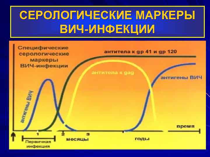 СЕРОЛОГИЧЕСКИЕ МАРКЕРЫ ВИЧ-ИНФЕКЦИИ 