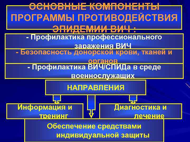 ОСНОВНЫЕ КОМПОНЕНТЫ ПРОГРАММЫ ПРОТИВОДЕЙСТВИЯ ЭПИДЕМИИ ВИЧ : - Профилактика профессионального заражения ВИЧ - Безопасность