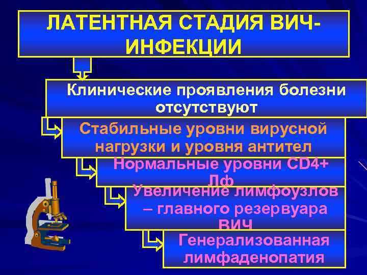ЛАТЕНТНАЯ СТАДИЯ ВИЧИНФЕКЦИИ Клинические проявления болезни отсутствуют Стабильные уровни вирусной нагрузки и уровня антител