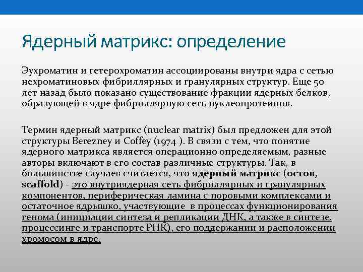 Ядерный матрикс: определение Эухроматин и гетерохроматин ассоциированы внутри ядра с сетью нехроматиновых фибриллярных и