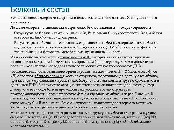 Белковый состав ядерного матрикса очень сильно зависит от способов и условий его выделения. Лишь