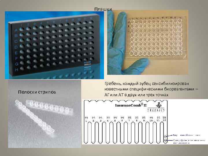 Плашки Полоски стрипов Гребень, каждый зубец сенсибилизирован известными специфическими биореагентами – АГ или АТ