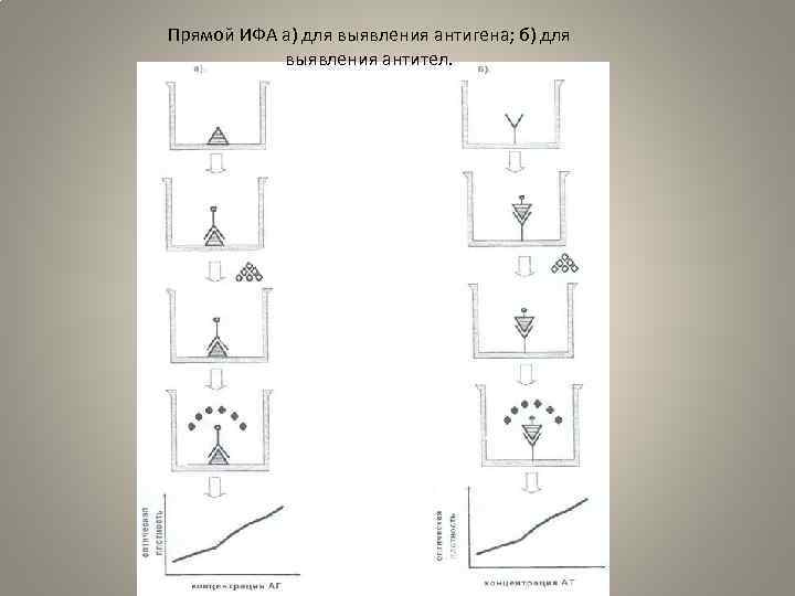 Прямой ИФА а) для выявления антигена; б) для выявления антител. 