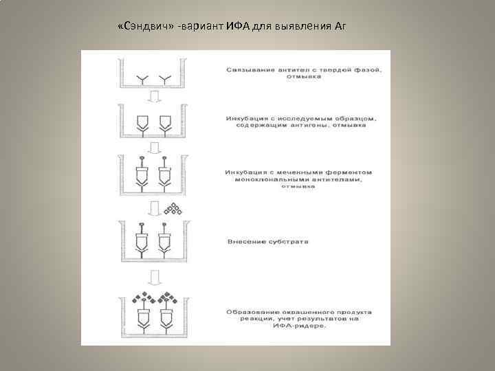 Схема неконкурентного ифа - 88 фото