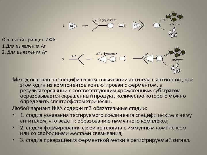 Серодиагностика ифа схема