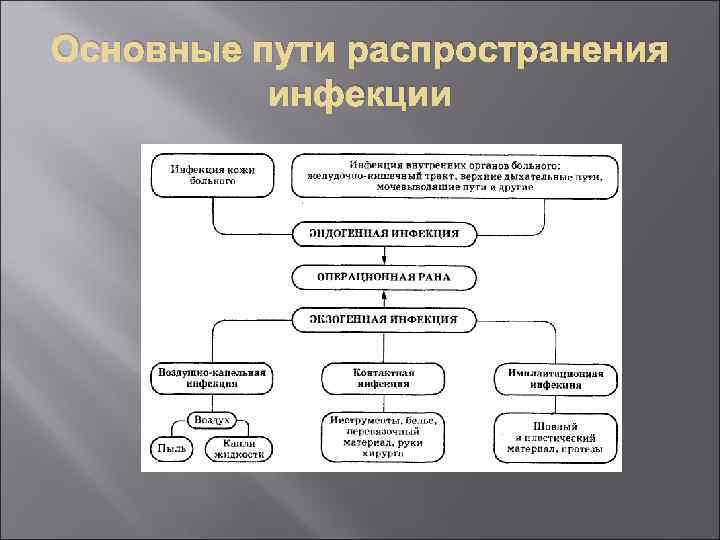 Основные пути распространения инфекции 
