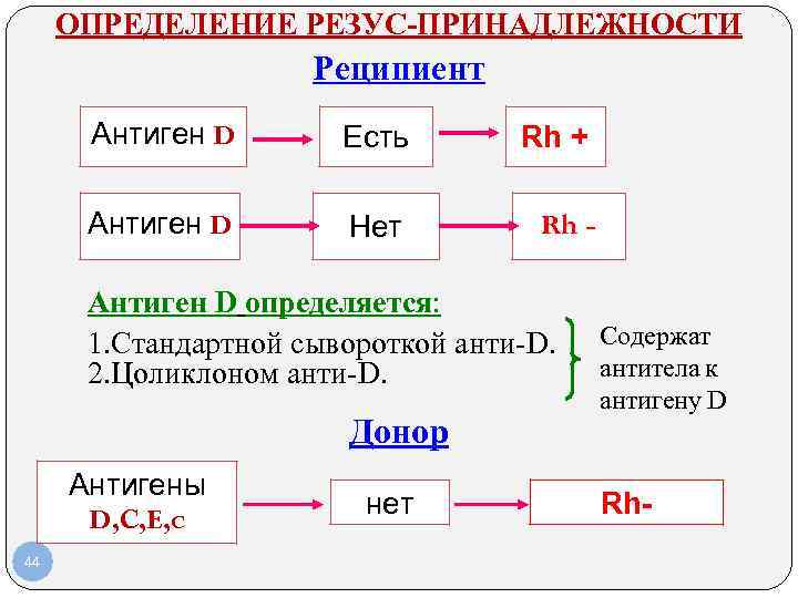 ОПРЕДЕЛЕНИЕ РЕЗУС-ПРИНАДЛЕЖНОСТИ Реципиент Антиген D Есть Rh + Антиген D Нет Rh Rh Антиген