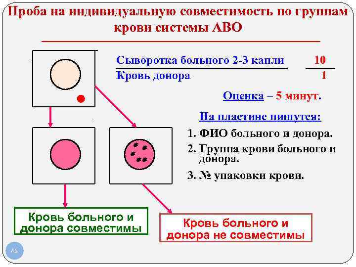 Составить схему переливания крови у вас 1 группа крови и вы донор