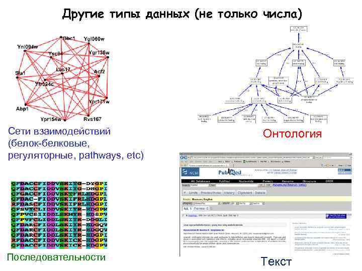 Другие типы данных (не только числа) Сети взаимодействий (белок-белковые, регуляторные, pathways, etc) Онтология Последовательности