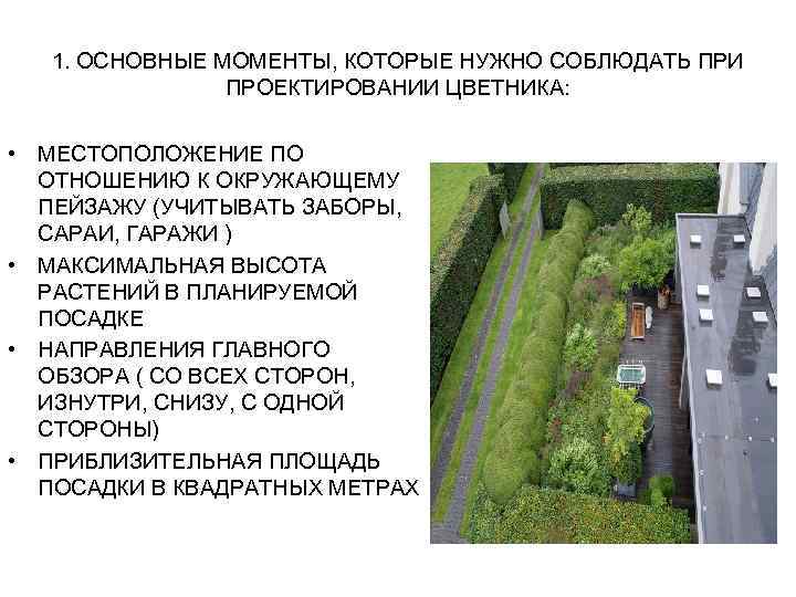 1. ОСНОВНЫЕ МОМЕНТЫ, КОТОРЫЕ НУЖНО СОБЛЮДАТЬ ПРИ ПРОЕКТИРОВАНИИ ЦВЕТНИКА: • МЕСТОПОЛОЖЕНИЕ ПО ОТНОШЕНИЮ К