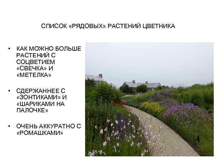 СПИСОК «РЯДОВЫХ» РАСТЕНИЙ ЦВЕТНИКА • КАК МОЖНО БОЛЬШЕ РАСТЕНИЙ С СОЦВЕТИЕМ «СВЕЧКА» И «МЕТЕЛКА»