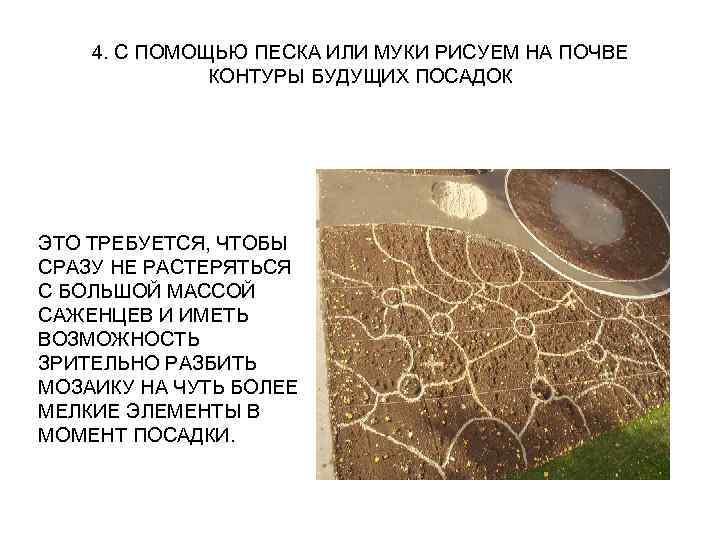 4. С ПОМОЩЬЮ ПЕСКА ИЛИ МУКИ РИСУЕМ НА ПОЧВЕ КОНТУРЫ БУДУЩИХ ПОСАДОК ЭТО ТРЕБУЕТСЯ,