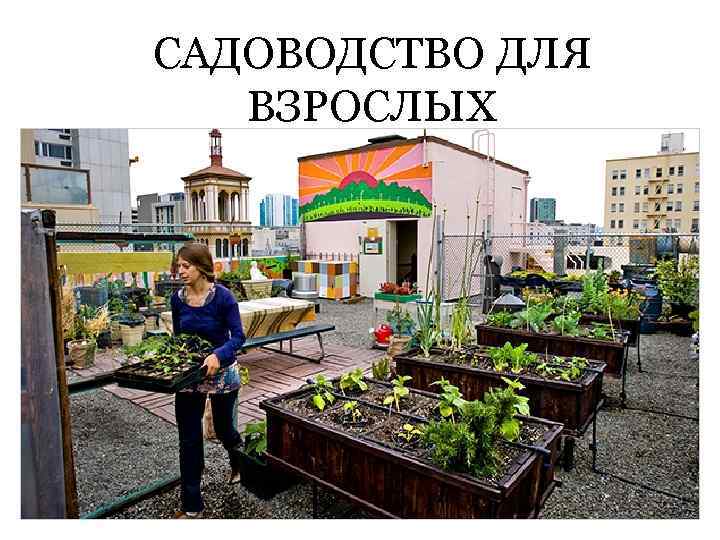 САДОВОДСТВО ДЛЯ ВЗРОСЛЫХ 