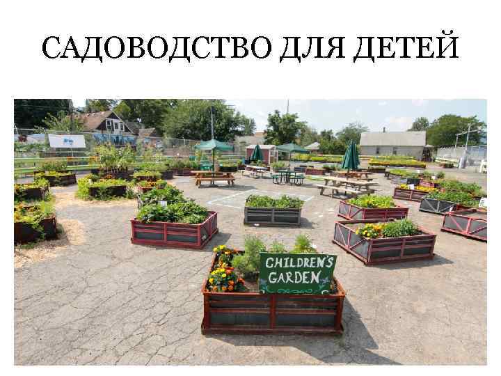 САДОВОДСТВО ДЛЯ ДЕТЕЙ 