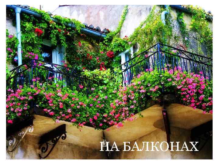НА БАЛКОНАХ 