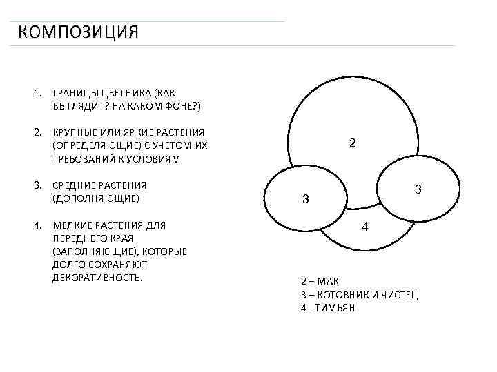 КОМПОЗИЦИЯ 1. ГРАНИЦЫ ЦВЕТНИКА (КАК ВЫГЛЯДИТ? НА КАКОМ ФОНЕ? ) 2. КРУПНЫЕ ИЛИ ЯРКИЕ