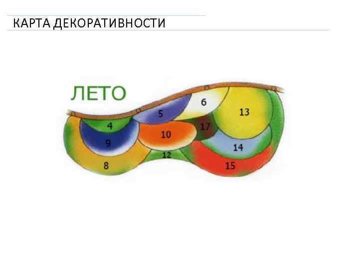 КАРТА ДЕКОРАТИВНОСТИ 