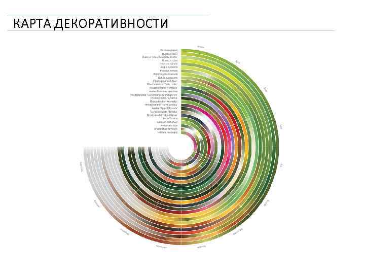 КАРТА ДЕКОРАТИВНОСТИ 